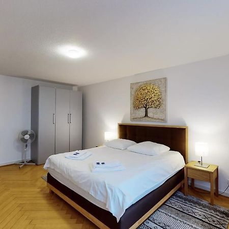 Bright 1 Bedroom Flat In The City Centre チューリッヒ エクステリア 写真